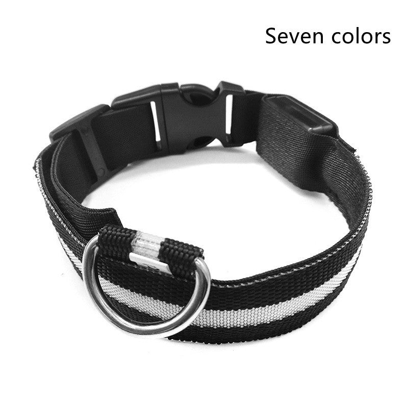 Galuxia Nylon LED Pet Dog Luminous Collar Night Safety Flashing Glow in Dark Dog Cat Leash Adjustable Pet Supplies