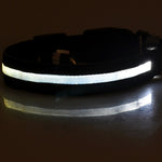 Galuxia Nylon LED Pet Dog Luminous Collar Night Safety Flashing Glow in Dark Dog Cat Leash Adjustable Pet Supplies
