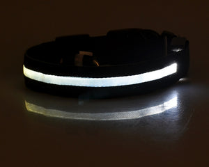 Galuxia Nylon LED Pet Dog Luminous Collar Night Safety Flashing Glow in Dark Dog Cat Leash Adjustable Pet Supplies