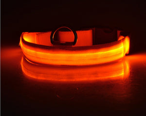 Galuxia Nylon LED Pet Dog Luminous Collar Night Safety Flashing Glow in Dark Dog Cat Leash Adjustable Pet Supplies
