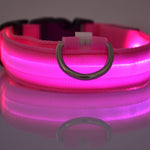 Galuxia Nylon LED Pet Dog Luminous Collar Night Safety Flashing Glow in Dark Dog Cat Leash Adjustable Pet Supplies