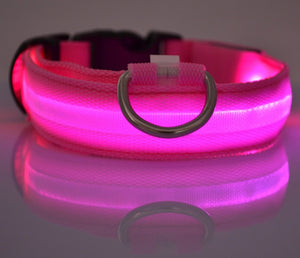 Galuxia Nylon LED Pet Dog Luminous Collar Night Safety Flashing Glow in Dark Dog Cat Leash Adjustable Pet Supplies