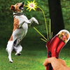 Galuxia Pet Food Catapult Feeder Funny Dog Toy