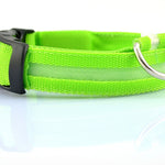 Galuxia Nylon LED Pet Dog Luminous Collar Night Safety Flashing Glow in Dark Dog Cat Leash Adjustable Pet Supplies