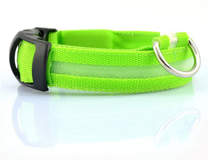 Galuxia Nylon LED Pet Dog Luminous Collar Night Safety Flashing Glow in Dark Dog Cat Leash Adjustable Pet Supplies