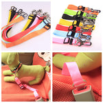 Galuxia Fixed Strap Polyester Dog Strap Dog Leash Dog Leash