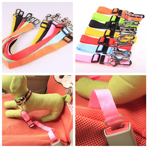 Galuxia Fixed Strap Polyester Dog Strap Dog Leash Dog Leash