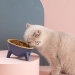 Galuxia Cat Dog Bowl With Stand Pet Feeding Food Bowls Dogs Bunny Rabbit Nordic Color Feeder Product Supplies Pet Accessories