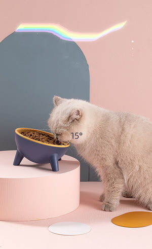 Galuxia Cat Dog Bowl With Stand Pet Feeding Food Bowls Dogs Bunny Rabbit Nordic Color Feeder Product Supplies Pet Accessories