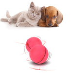 Galuxia LED Laser Electronic Rolling Pet Funny Cat Toy Ball