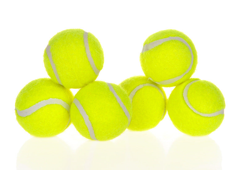 Galuxia Dog Pet Automatic Interactive Ball Launcher