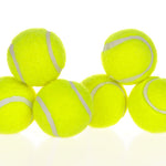Galuxia Dog Pet Automatic Interactive Ball Launcher