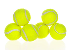 Galuxia Dog Pet Automatic Interactive Ball Launcher