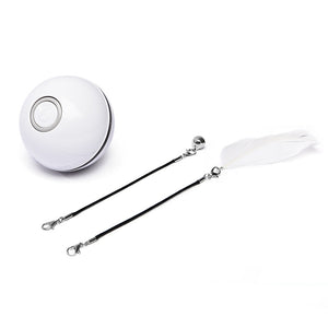 Galuxia LED Laser Electronic Rolling Pet Funny Cat Toy Ball