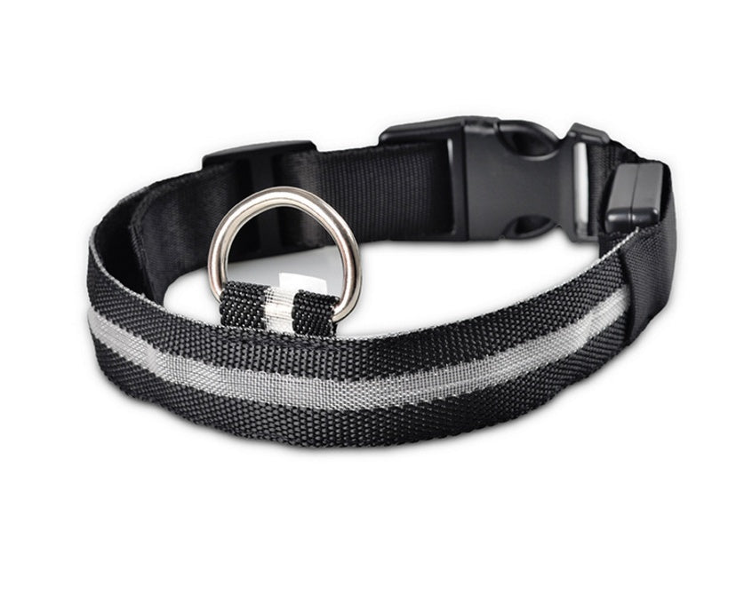 Galuxia Nylon LED Pet Dog Luminous Collar Night Safety Flashing Glow in Dark Dog Cat Leash Adjustable Pet Supplies