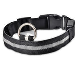 Galuxia Nylon LED Pet Dog Luminous Collar Night Safety Flashing Glow in Dark Dog Cat Leash Adjustable Pet Supplies