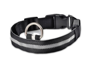 Galuxia Nylon LED Pet Dog Luminous Collar Night Safety Flashing Glow in Dark Dog Cat Leash Adjustable Pet Supplies