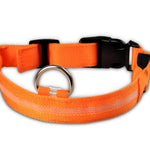 Galuxia Nylon LED Pet Dog Luminous Collar Night Safety Flashing Glow in Dark Dog Cat Leash Adjustable Pet Supplies
