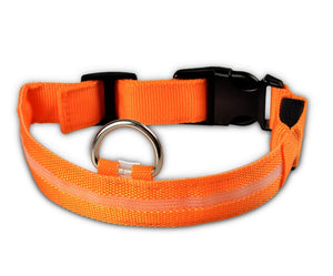 Galuxia Nylon LED Pet Dog Luminous Collar Night Safety Flashing Glow in Dark Dog Cat Leash Adjustable Pet Supplies