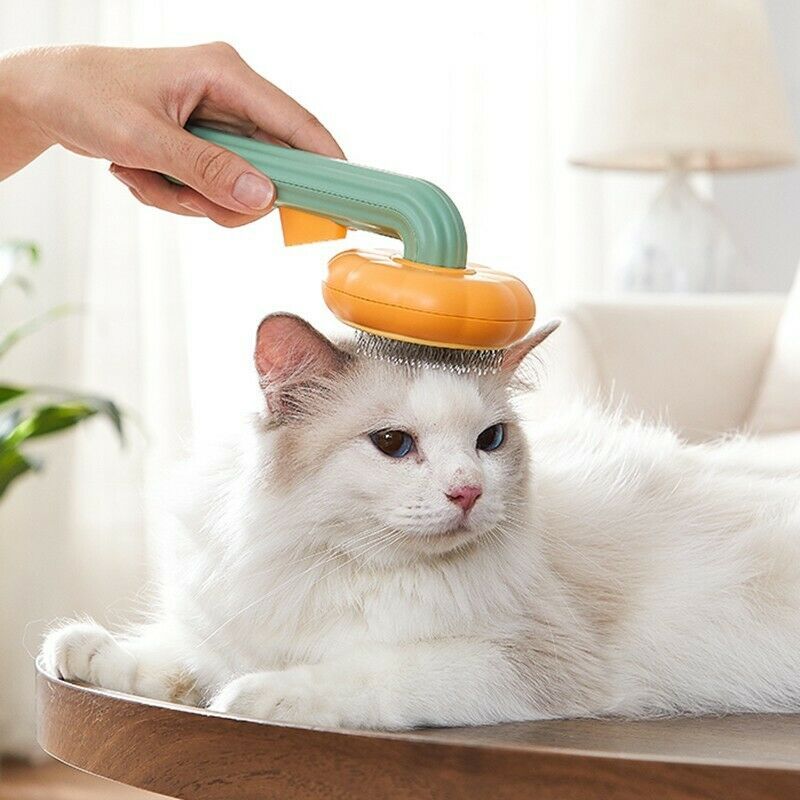 Galuxia Pet Pumpkin Brush – Self-Cleaning Slicker Grooming Brush for Dogs, Cats, Puppies & Rabbits