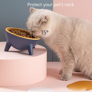 Galuxia Cat Dog Bowl With Stand Pet Feeding Food Bowls Dogs Bunny Rabbit Nordic Color Feeder Product Supplies Pet Accessories