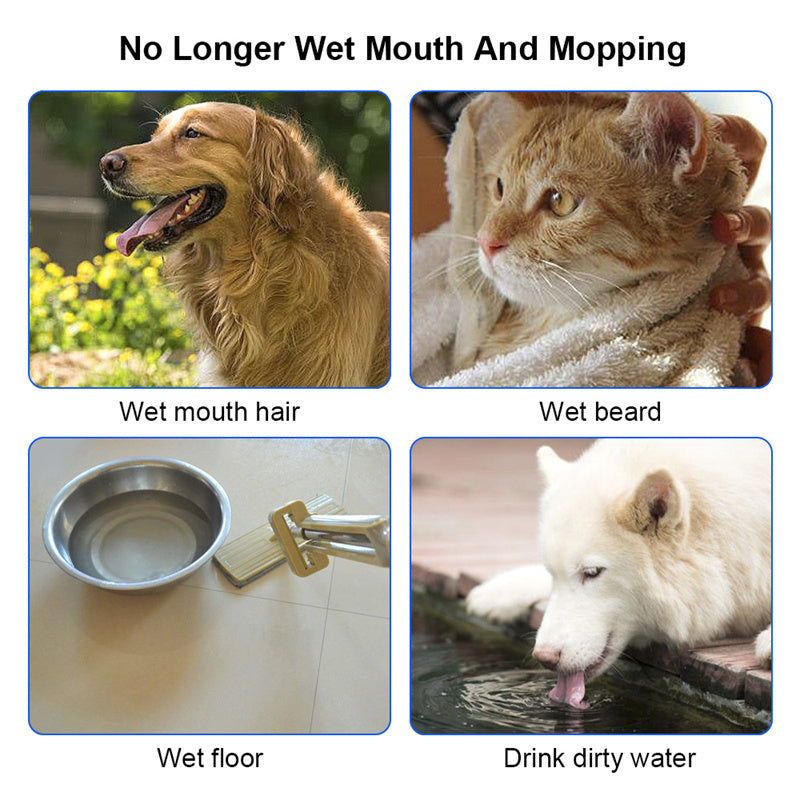Galuxia 1.5L Cat Dog Water Bowl Carried Floating Bowl Anti-Overflow Slow Water Feeder Dispenser Pet Fountain ABS&PP Dog Supplies