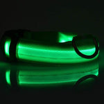 Galuxia Nylon LED Pet Dog Luminous Collar Night Safety Flashing Glow in Dark Dog Cat Leash Adjustable Pet Supplies