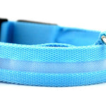 Galuxia Nylon LED Pet Dog Luminous Collar Night Safety Flashing Glow in Dark Dog Cat Leash Adjustable Pet Supplies