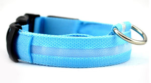 Galuxia Nylon LED Pet Dog Luminous Collar Night Safety Flashing Glow in Dark Dog Cat Leash Adjustable Pet Supplies