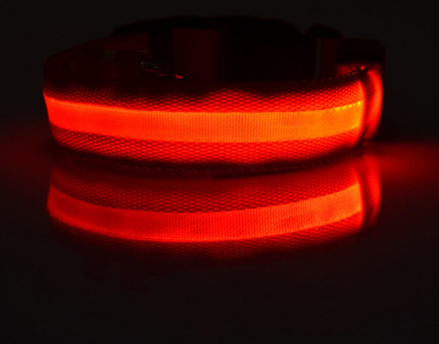 Galuxia Nylon LED Pet Dog Luminous Collar Night Safety Flashing Glow in Dark Dog Cat Leash Adjustable Pet Supplies