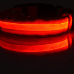 Galuxia Nylon LED Pet Dog Luminous Collar Night Safety Flashing Glow in Dark Dog Cat Leash Adjustable Pet Supplies
