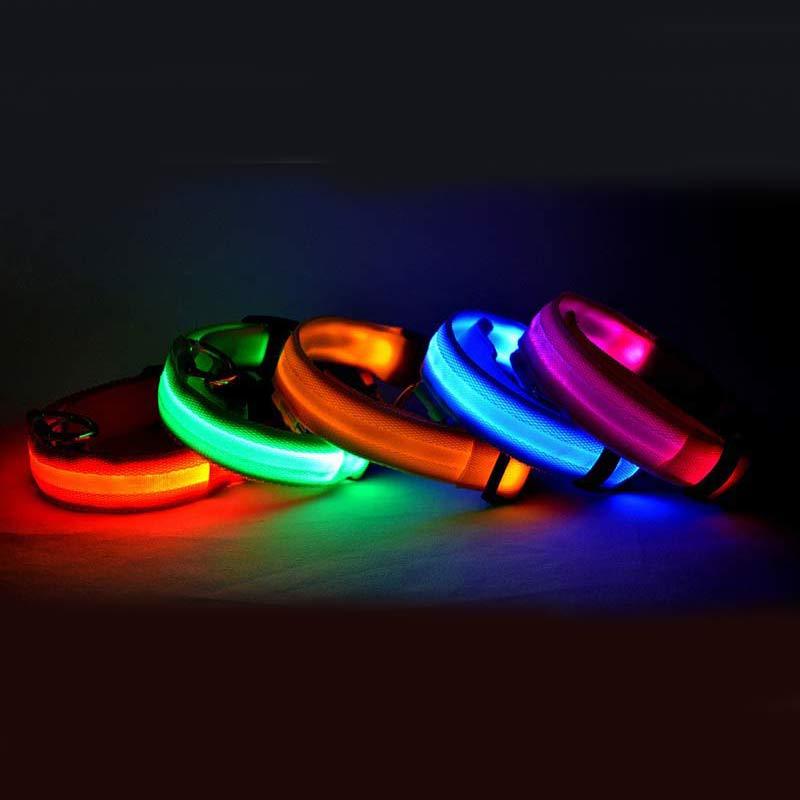 Galuxia Nylon LED Pet Dog Luminous Collar Night Safety Flashing Glow in Dark Dog Cat Leash Adjustable Pet Supplies