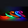 Galuxia Nylon LED Pet Dog Luminous Collar Night Safety Flashing Glow in Dark Dog Cat Leash Adjustable Pet Supplies