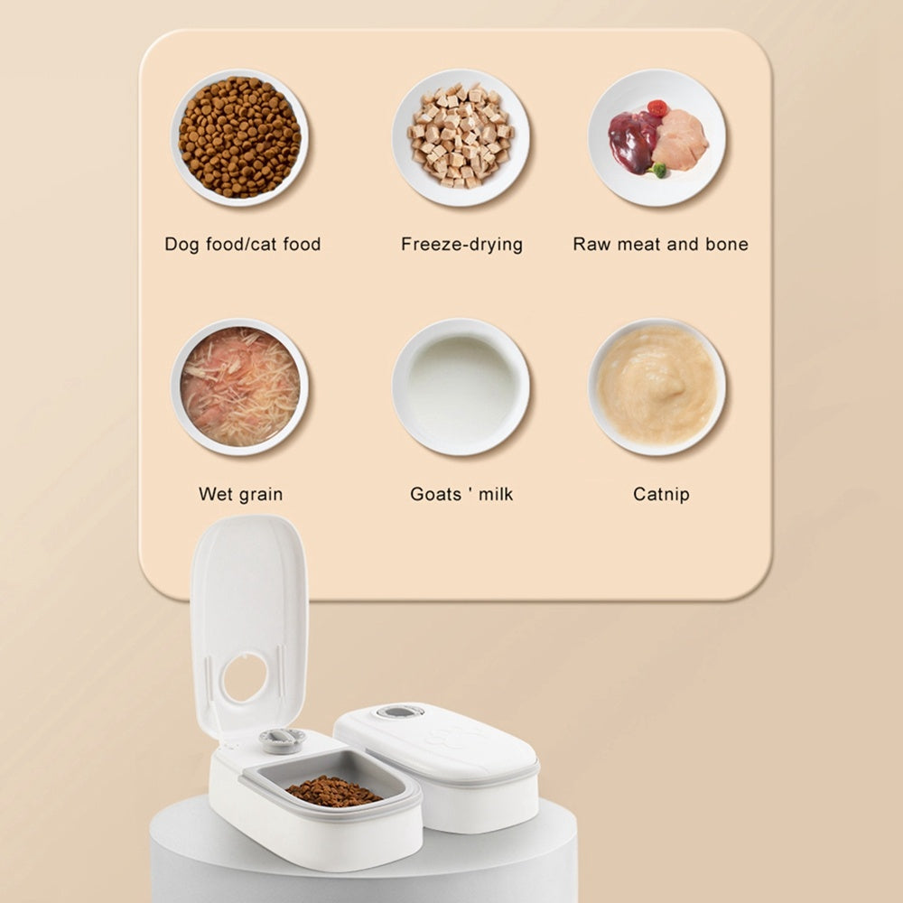Galuxia Automatic Pet Feeder Smart Food Dispenser For Cats Dogs Timer Stainless Steel Bowl Auto Dog Cat Pet Feeding Pets Supplies