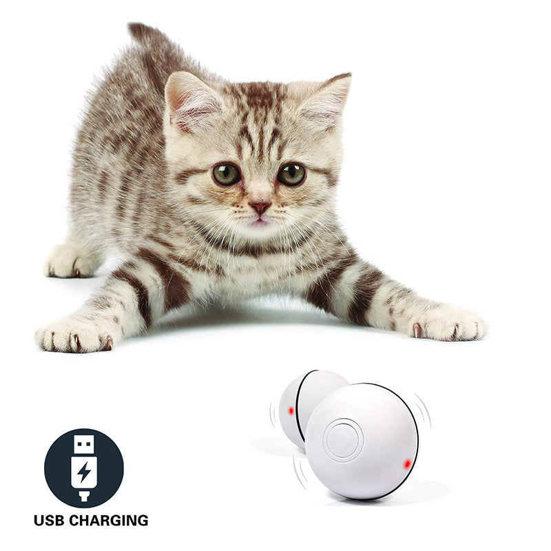 Galuxia LED Laser Electronic Rolling Pet Funny Cat Toy Ball