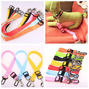 Galuxia Fixed Strap Polyester Dog Strap Dog Leash Dog Leash