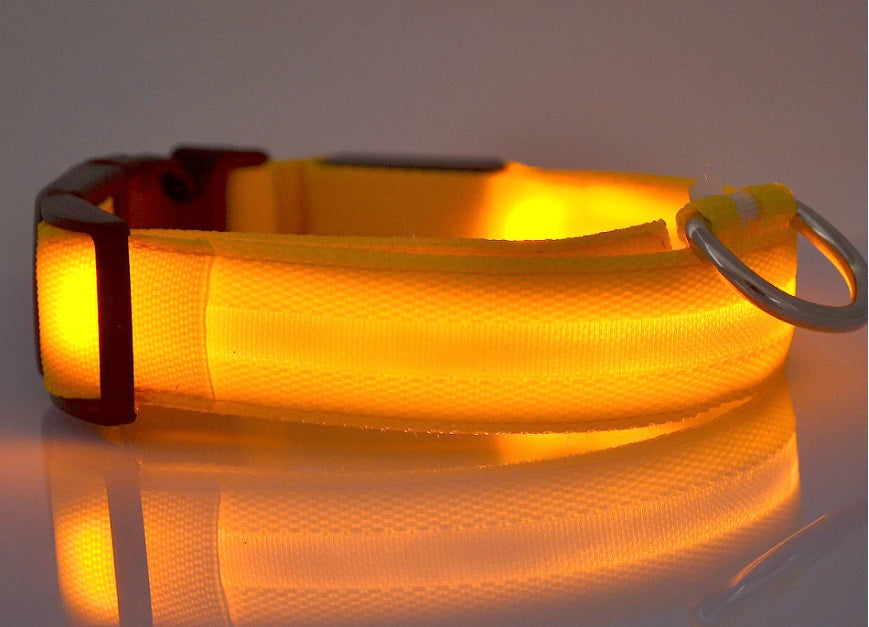 Galuxia Nylon LED Pet Dog Luminous Collar Night Safety Flashing Glow in Dark Dog Cat Leash Adjustable Pet Supplies