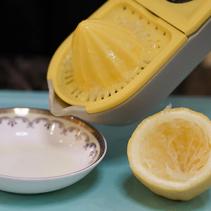 Galuxia Manual Lemon Juicer Stainless Steel Grater Kitchen Gadgets