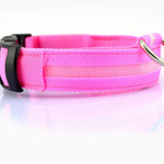 Galuxia Nylon LED Pet Dog Luminous Collar Night Safety Flashing Glow in Dark Dog Cat Leash Adjustable Pet Supplies