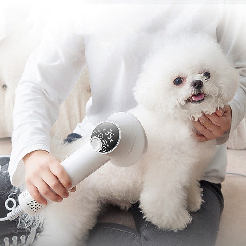 Galuxia Smart Pet Hair Dryer Dog Golden Retriever Cat Grooming Hairdressing Blow & Comb Silent No Harm Pet Cleaning Supplies Pet Products