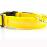 Galuxia Nylon LED Pet Dog Luminous Collar Night Safety Flashing Glow in Dark Dog Cat Leash Adjustable Pet Supplies