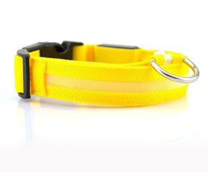 Galuxia Nylon LED Pet Dog Luminous Collar Night Safety Flashing Glow in Dark Dog Cat Leash Adjustable Pet Supplies