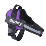 Galuxia Personalized Dog Harness NO PULL Reflective Breathable Adjustable Pet Harness Vest For Small Large Dog Custom Patch Pet Supplies