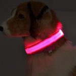 Galuxia Nylon LED Pet Dog Luminous Collar Night Safety Flashing Glow in Dark Dog Cat Leash Adjustable Pet Supplies