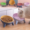 Galuxia Cat Dog Bowl With Stand Pet Feeding Food Bowls Dogs Bunny Rabbit Nordic Color Feeder Product Supplies Pet Accessories