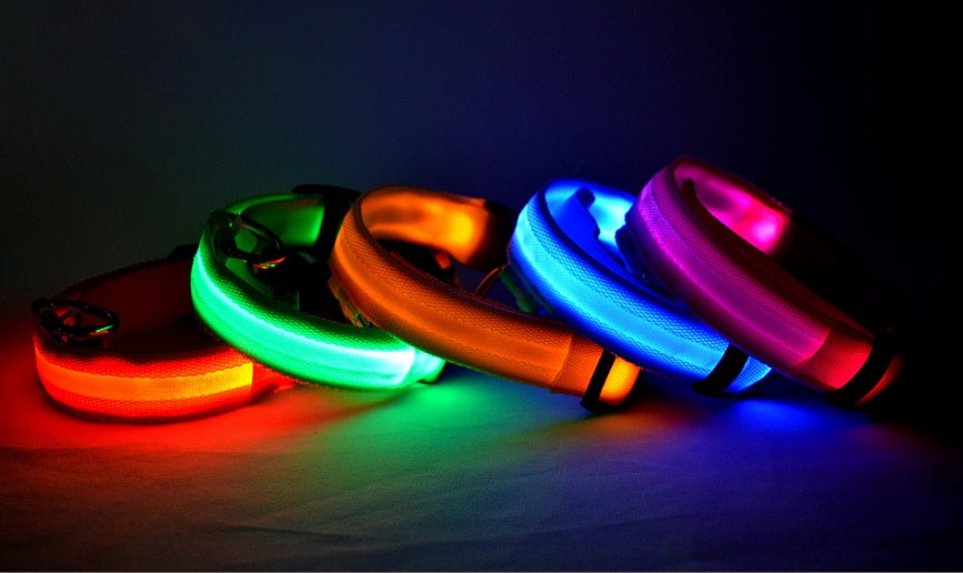 Galuxia Nylon LED Pet Dog Luminous Collar Night Safety Flashing Glow in Dark Dog Cat Leash Adjustable Pet Supplies
