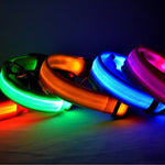 Galuxia Nylon LED Pet Dog Luminous Collar Night Safety Flashing Glow in Dark Dog Cat Leash Adjustable Pet Supplies