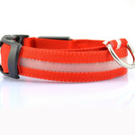 Galuxia Nylon LED Pet Dog Luminous Collar Night Safety Flashing Glow in Dark Dog Cat Leash Adjustable Pet Supplies