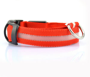 Galuxia Nylon LED Pet Dog Luminous Collar Night Safety Flashing Glow in Dark Dog Cat Leash Adjustable Pet Supplies