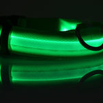 Galuxia Nylon LED Pet Dog Luminous Collar Night Safety Flashing Glow in Dark Dog Cat Leash Adjustable Pet Supplies